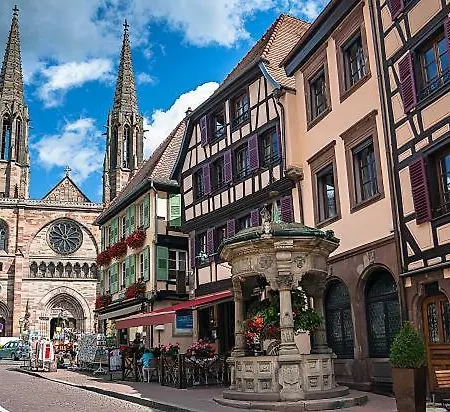 Daire Le Pavillon Des Remparts - Commerces A Proximite - Centre-ville - Cosy Obernai