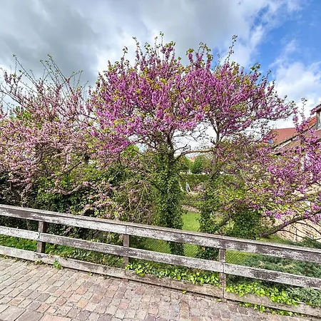 Le Pavillon Des Remparts - Commerces A Proximite - Centre-ville - Cosy * Obernai