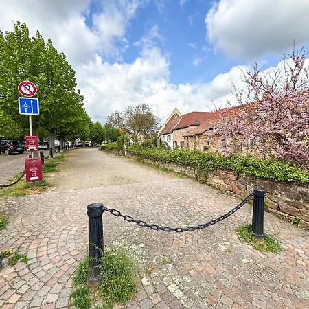 Le Pavillon Des Remparts - Commerces A Proximite - Centre-ville - Cosy * Obernai